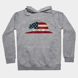 American Flag Bear Hoodie